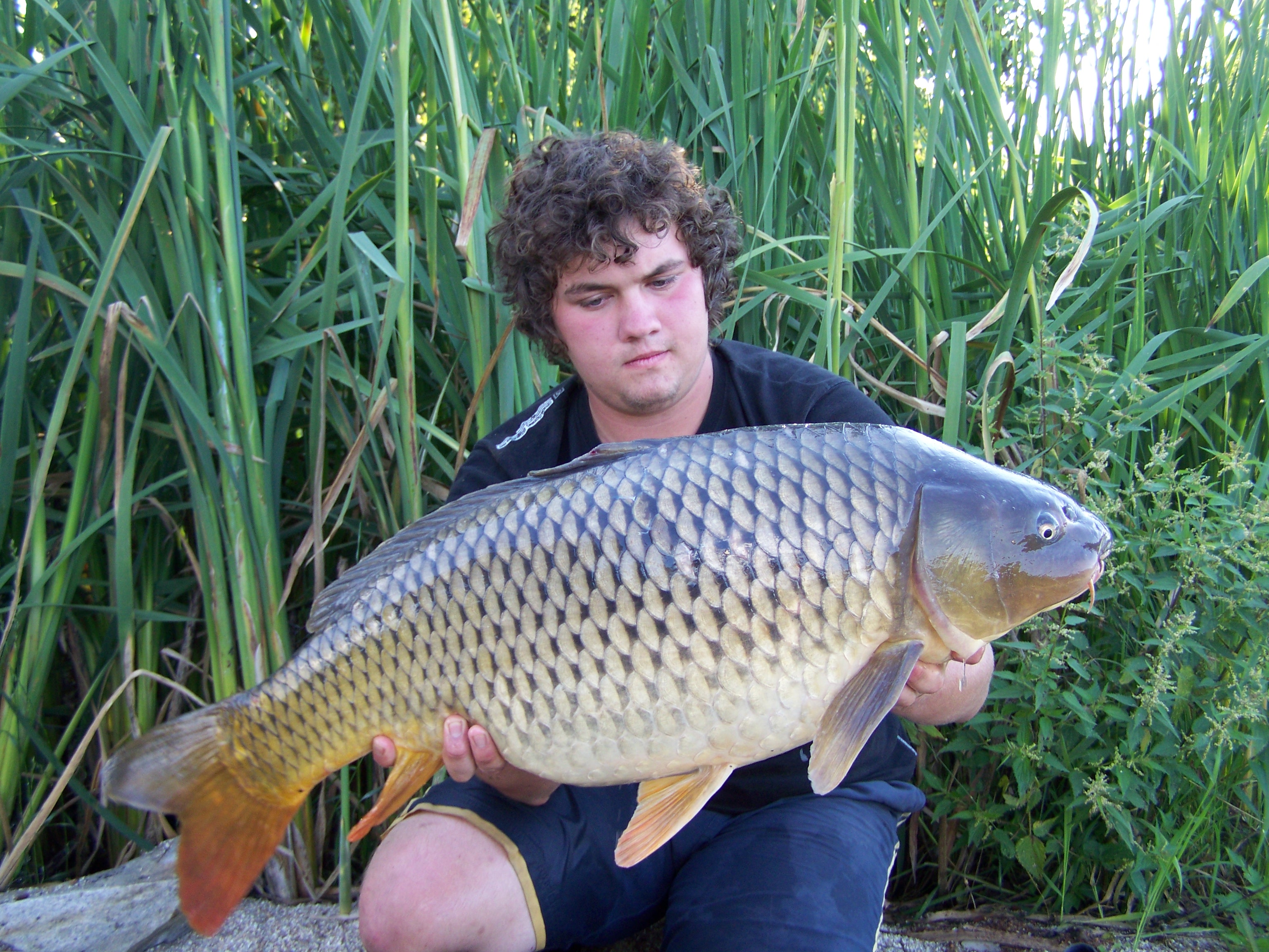 85cm12kg